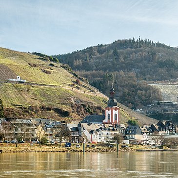 Moselblick auf Zell