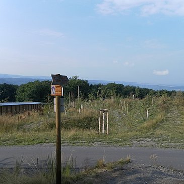Wildbrücke über die B50neu am Graacher Schanzen