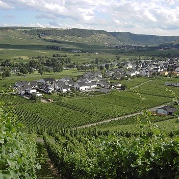 Blick auf Kesten an der Mosel