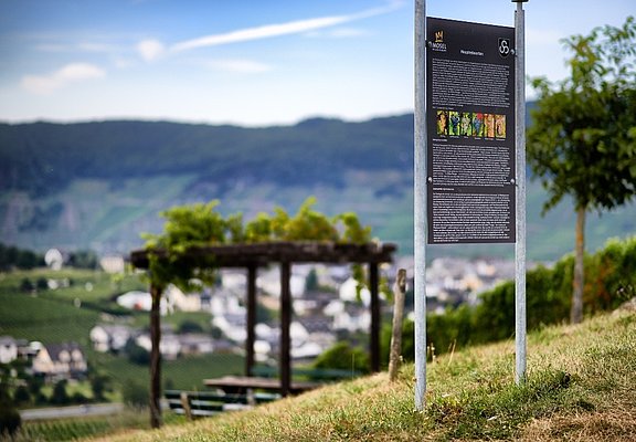 Weinlehrpfad