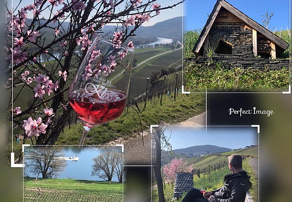 Weingut in Osann-Monzel