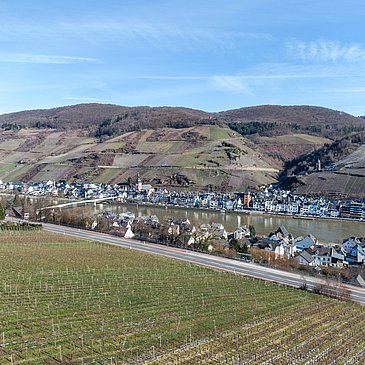 Moselsteigblick auf Zell