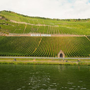 Blick auf die gleichnamige Weinlage
