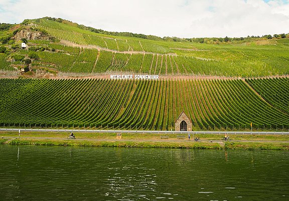 Blick auf die gleichnamige Weinlage
