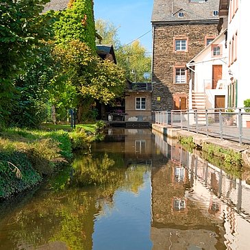 Spiegelung der Dhron