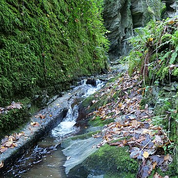 Bachlauf im Tiefenbachtal