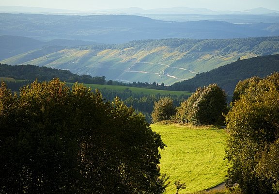 Radfahren im Urlaub mit Moselpanorama