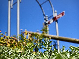 Gewürzgarten