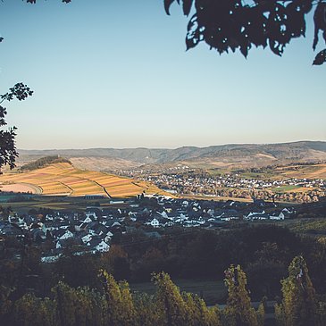 Aussicht am Wein-Wallfahrtsweg