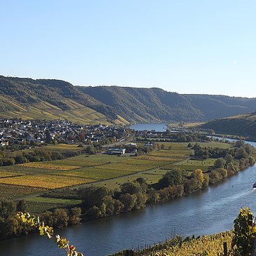 Mosellandschaft Herbst