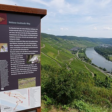 Stele mit spannenden Infos