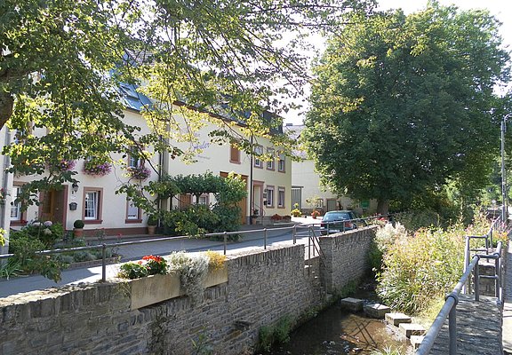 Der Frohnbach in Burgen