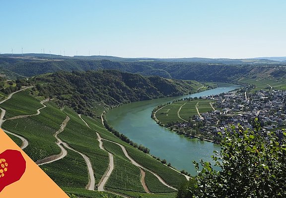 Moselpanoramastraße - Roadtrip an der Mosel mit herrlichen Aussichten