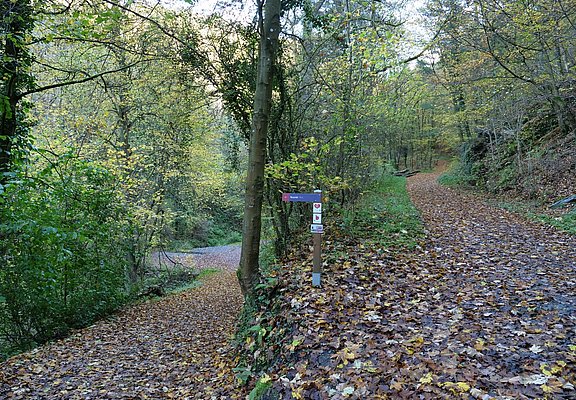 Abzweigung zum Wasserfall (mit dem Kinderwagen diesen Zwischenstopp auslassen=