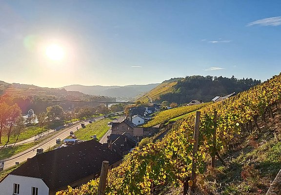 Sonne über Lieser