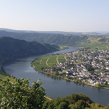 Ausblick auf die Moselloreley und die Gemeinde Piesport