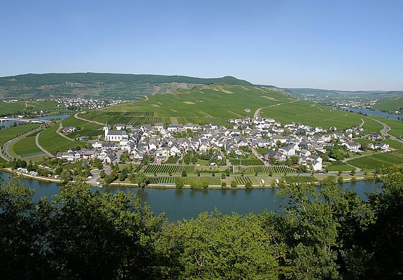Moselschleife Minheim