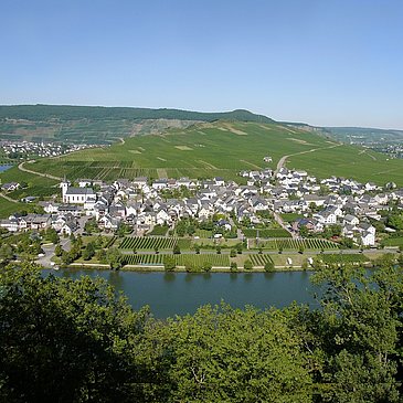 Moselschleife Minheim