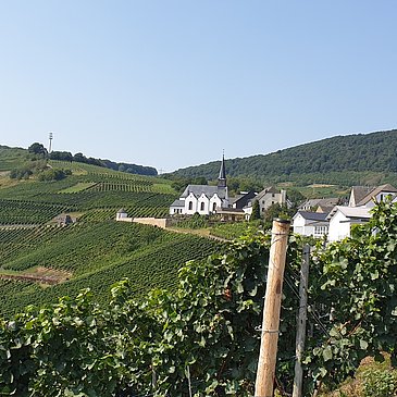 Blick vom Ortsrand in Monzel auf die Kirche