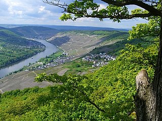 Blick von Maria Zill