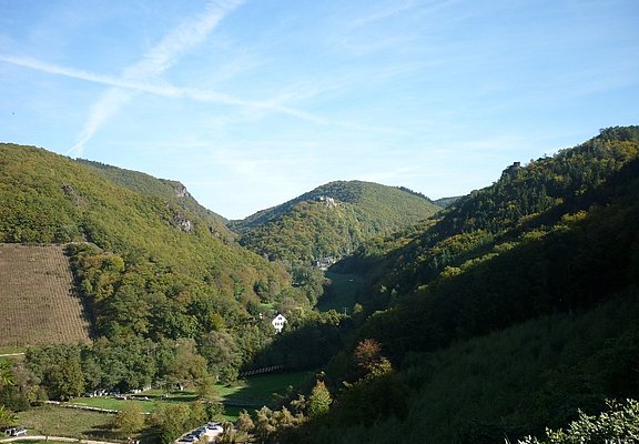 Blick ins Veldenzer Bachtal mit Schloss Veldenz