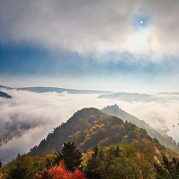 Mosel - Marienburg Rundwanderweg - Wandern - Zeller Land