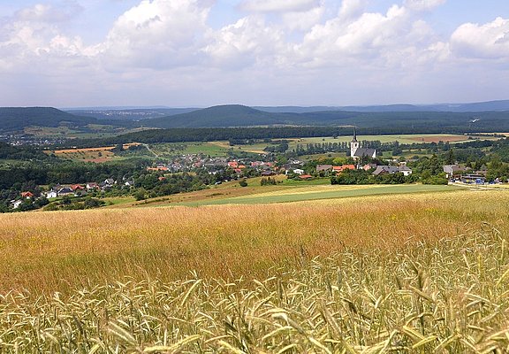 Felderlandschaft in der Mosel-Eifel