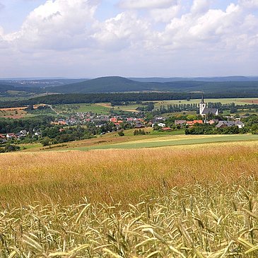 Felderlandschaft in der Mosel-Eifel