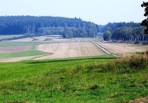 Wald- und Wiesenlandschaft im Hunsrück