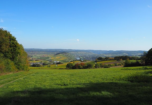 Ausblick entlang der Strecke aufs Moseltal