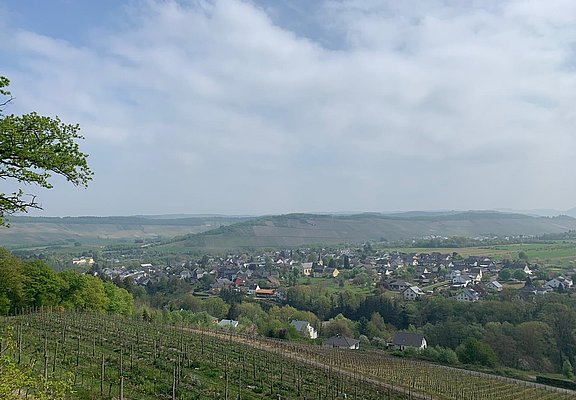 Ausblick auf Maring-Noviand