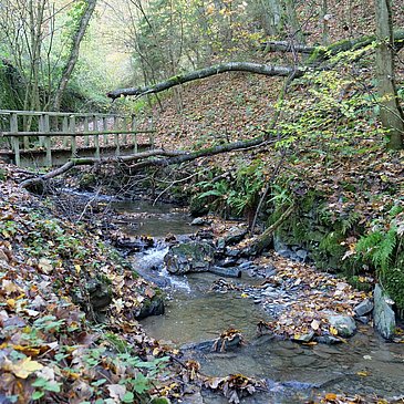Bachlauf entlang des Weges