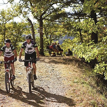 Tour über den Moselberg