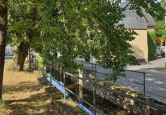 Der Fronbach in Burgen