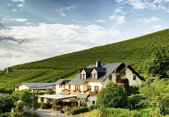 Weingut Kruft-Willems