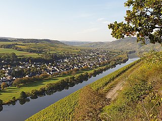 Ortschaft Brauneberg