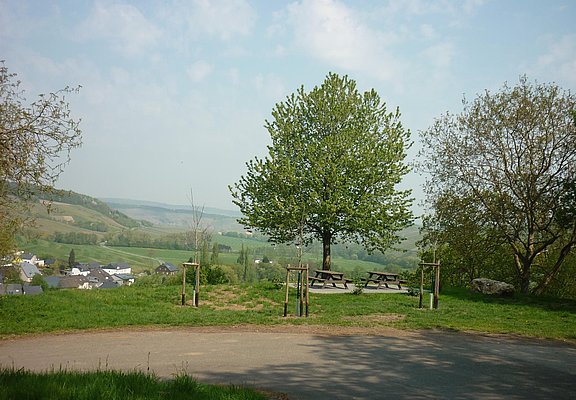 Rastplatz oberhalb von Burgen