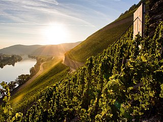 Brauenebrger Juffer hoch über dem Weinort