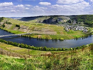 Ausblick von Zimmet