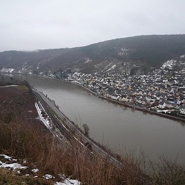 Aussicht aus den Weinbergen auf den Koblenzer Stadtteil Lay
