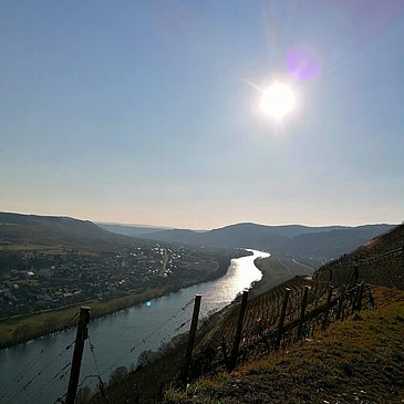 Die Mosel