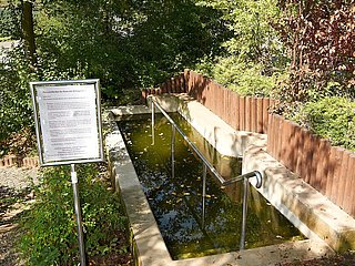 Wassertretbecken