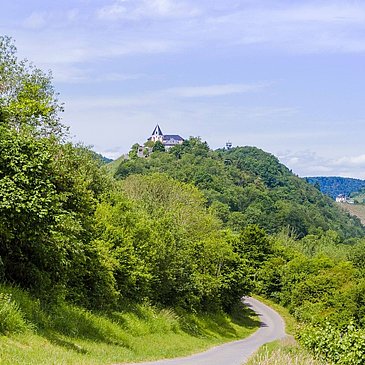 Mosel - Sehenswürdigkeiten - Marienburg - Wanderung - Weinberge - Zeller Land