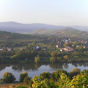 Radfahren an der Mosel in Mülheim
