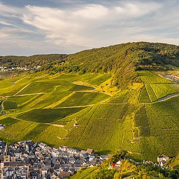 Blick auf die Weinberge bei Bernkastel-Kues