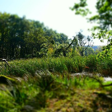 Blick auf Doline am Moselsteig