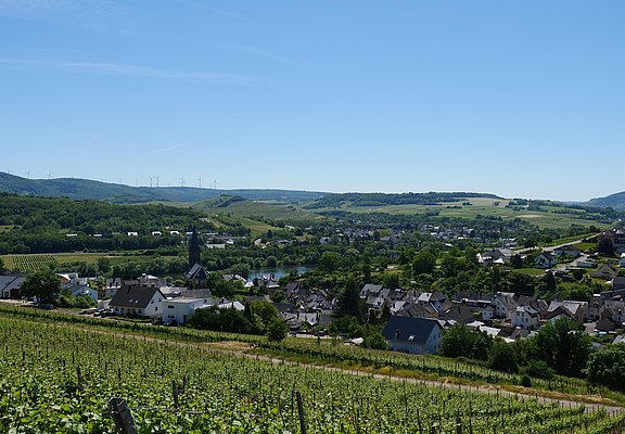 Weinberge mit Blick auf Lieser