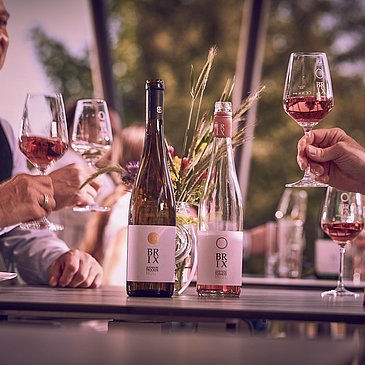 Weinprobe im Weingut Brixius