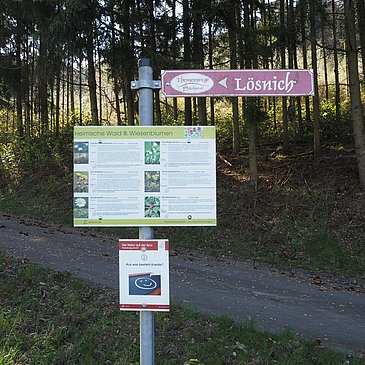 Infotafel über Wald- und Wiesenblumen