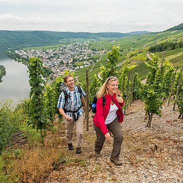 Moselsteig. Dein Weg, mehr zu erleben.